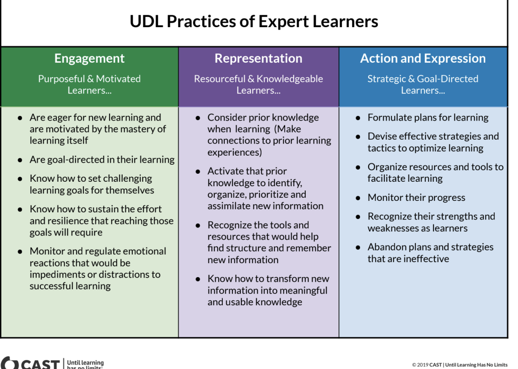 Expert Goals for Expert Learning UDL Standards Based Lesson Tool to