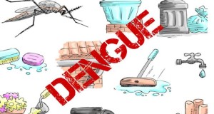 dengue