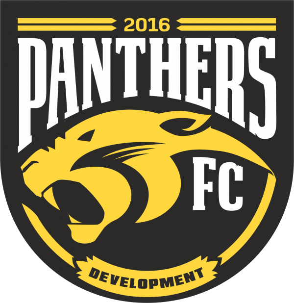 Panthers FC Soccer Clinics